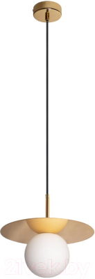 Потолочный светильник Loftit Ufo 10120/250P - фото