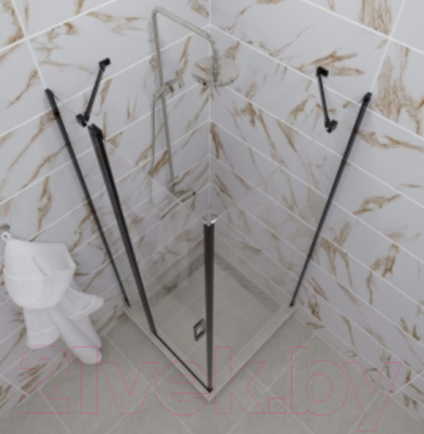 Душевой уголок Triton Йота 90x90 (черный, без поддона)