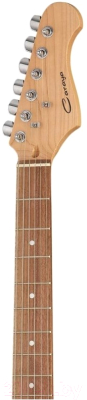 Электрогитара Caraya E210BS
