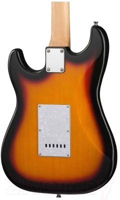 Электрогитара Caraya E210BS