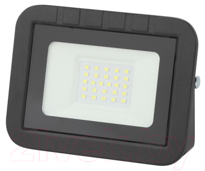 Прожектор ЭРА PRO LPR-061-0-65K-020 / Б0043589 - фото