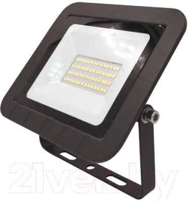 Прожектор ЭРА PRO LPR-061-0-65K-030 / Б0043590 - фото