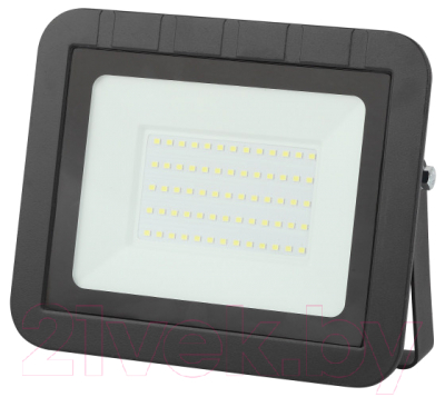 Прожектор ЭРА PRO LPR-061-0-65K-050 / Б0043591 - фото