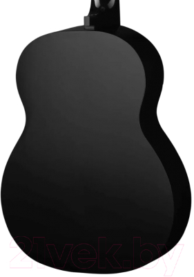 Акустическая гитара Ижевский завод Т.И.М. 2K-BK
