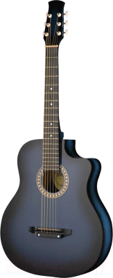 Акустическая гитара Ижевский завод Т.И.М. 42C-BL - фото