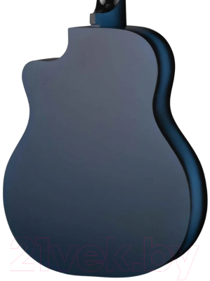 Акустическая гитара Ижевский завод Т.И.М. 42C-BL