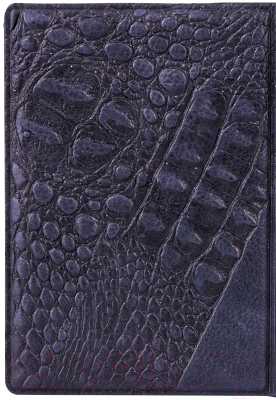 Обложка на паспорт OfficeSpace Герб / 311121