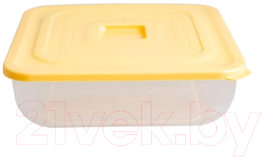 Контейнер Полимербыт Practic / C894