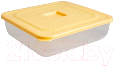 Контейнер Полимербыт Practic / C894