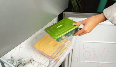 Контейнер Полимербыт Practic / C894