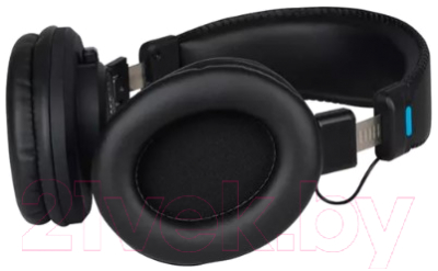 Наушники Alctron HE360