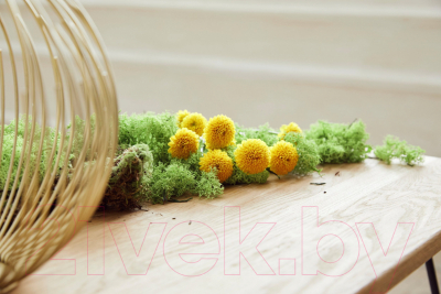 Журнальный столик Dipriz Detlef Д.7411-01 (дуб масло)