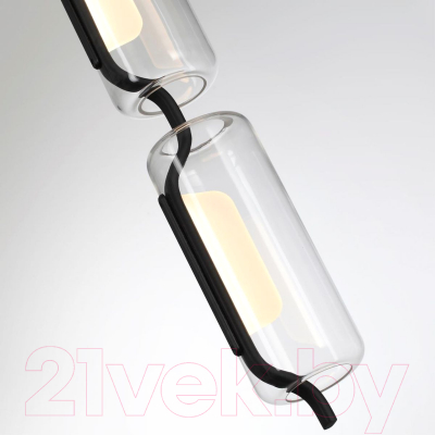 Потолочный светильник Odeon Light Kavia 5003/20L