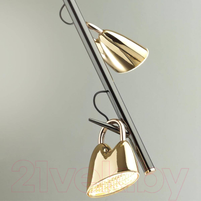 Люстра Odeon Light Malpa 5002/17L