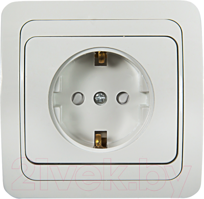 Розетка INhome Classico / 4690612000978 - фото