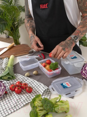 Контейнер Hitt H241014