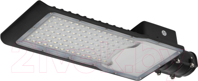 Светильник уличный ЭРА SPP-502-0-50K-100 / Б0051832 - фото