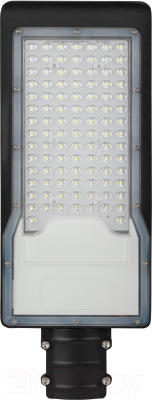 Светильник уличный ЭРА SPP-502-0-50K-100 / Б0051832