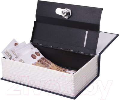 Книга-сейф Brauberg Английский словарь / 291179