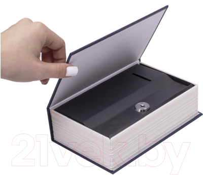 Книга-сейф Brauberg Английский словарь / 291179