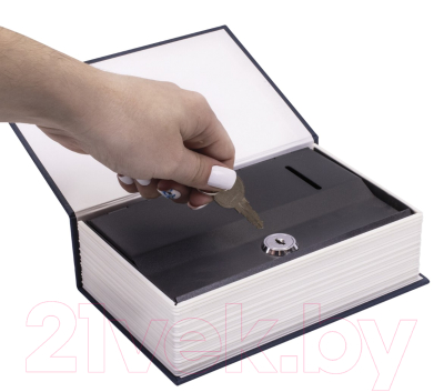 Книга-сейф Brauberg Английский словарь / 291179