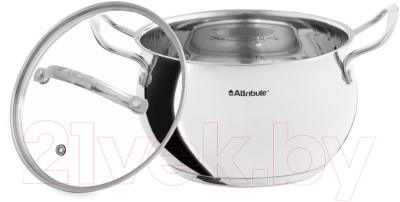 Кастрюля Attribute Optima ASO118