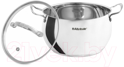 Кастрюля Attribute Optima ASO124