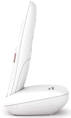 Беспроводной телефон Gigaset E290 SYS RUS / S30852-H2901-S302