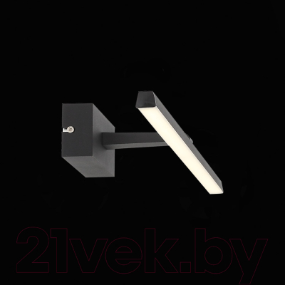 Подсветка для картин и зеркал ST Luce SL446.471.01