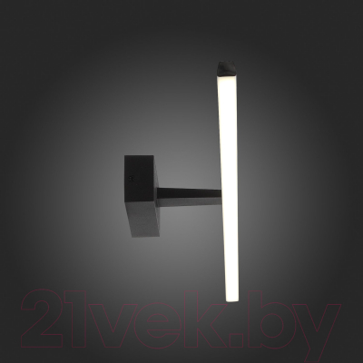 Подсветка для картин и зеркал ST Luce SL446.741.01