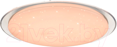 Потолочный светильник Leek СЛЛ 001 75W Galaxy / LE061202-047 - фото