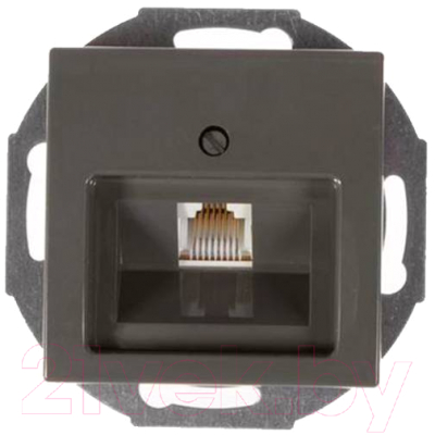 Розетка ABB Basic 55 / 13010404-05.38-01.01-01.00 - фото