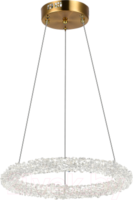 Потолочный светильник ST Luce SL6110.203.01 - фото