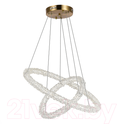 Потолочный светильник ST Luce SL6110.203.02