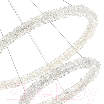 Потолочный светильник ST Luce SL6110.203.02