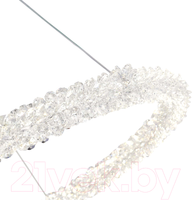 Потолочный светильник ST Luce SL6110.213.01