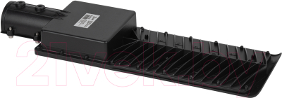 Светильник уличный ЭРА SPP-502-0-50K-120 / Б0051833