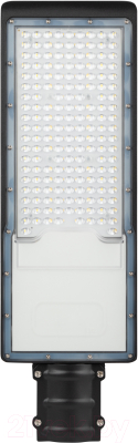 Светильник уличный ЭРА SPP-502-0-50K-120 / Б0051833