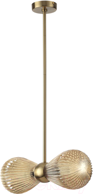 Потолочный светильник Odeon Light Elica 5402/2 - фото