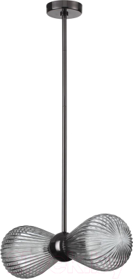 Потолочный светильник Odeon Light Elica 5417/2 - фото