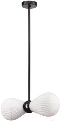 Потолочный светильник Odeon Light Elica 5418/2 - фото