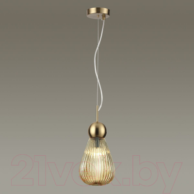 Потолочный светильник Odeon Light Elica 5402/1