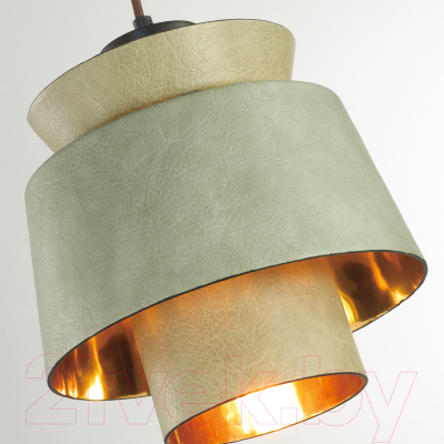 Потолочный светильник Odeon Light Kressa 4992/1A