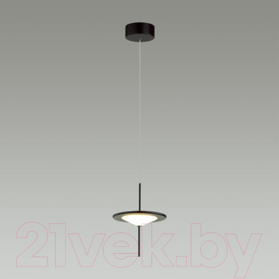 Потолочный светильник Odeon Light Steka 5012/10L