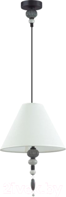 Потолочный светильник Odeon Light Sochi 4896/1 - фото