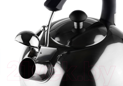 Чайник со свистком Hitt Familie H01025