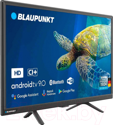 Телевизор Blaupunkt 24HB5000