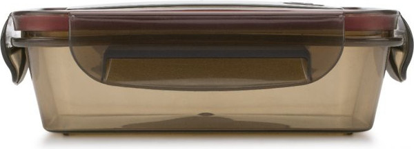 Контейнер Violet V092051