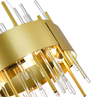 Люстра ST Luce SL1633.203.08