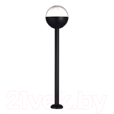 Светильник уличный ST Luce SL9000.405.01 - фото